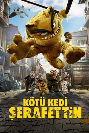 Kötü Kedi Şerafettin 2016 izle